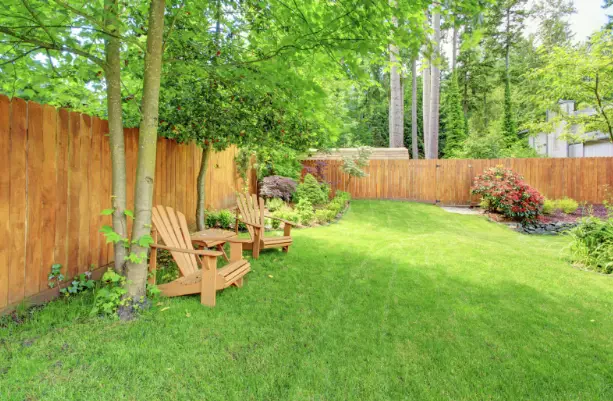 How to Trim Grass Around Trees, Fences, and Pathways