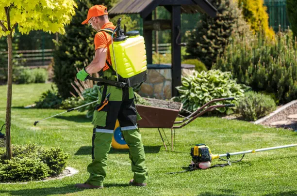 How to Perform a Summer Yard Cleanup for Healthy Growth