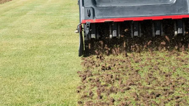How Often Should You Aerate Your Lawn