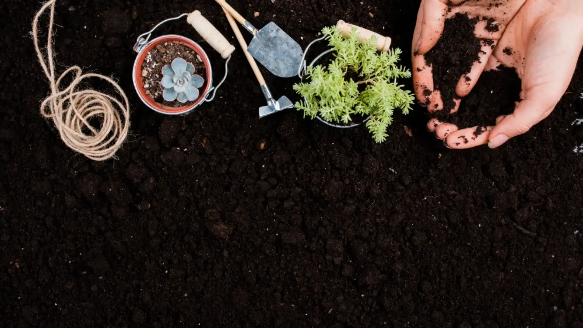 Cultivating Healthy Soil: The Power of Worm Castings, Organic Fish Fertilizers, and Sustainable Soil Surfactants