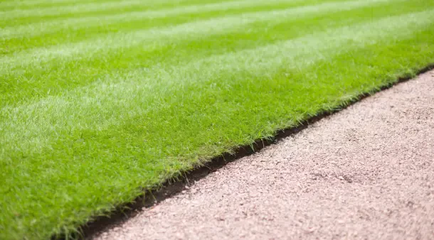 How to Avoid Common Edging and Trimming Mistakes