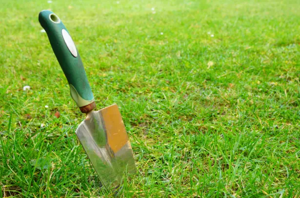 How to Maintain Your Lawn After Aeration