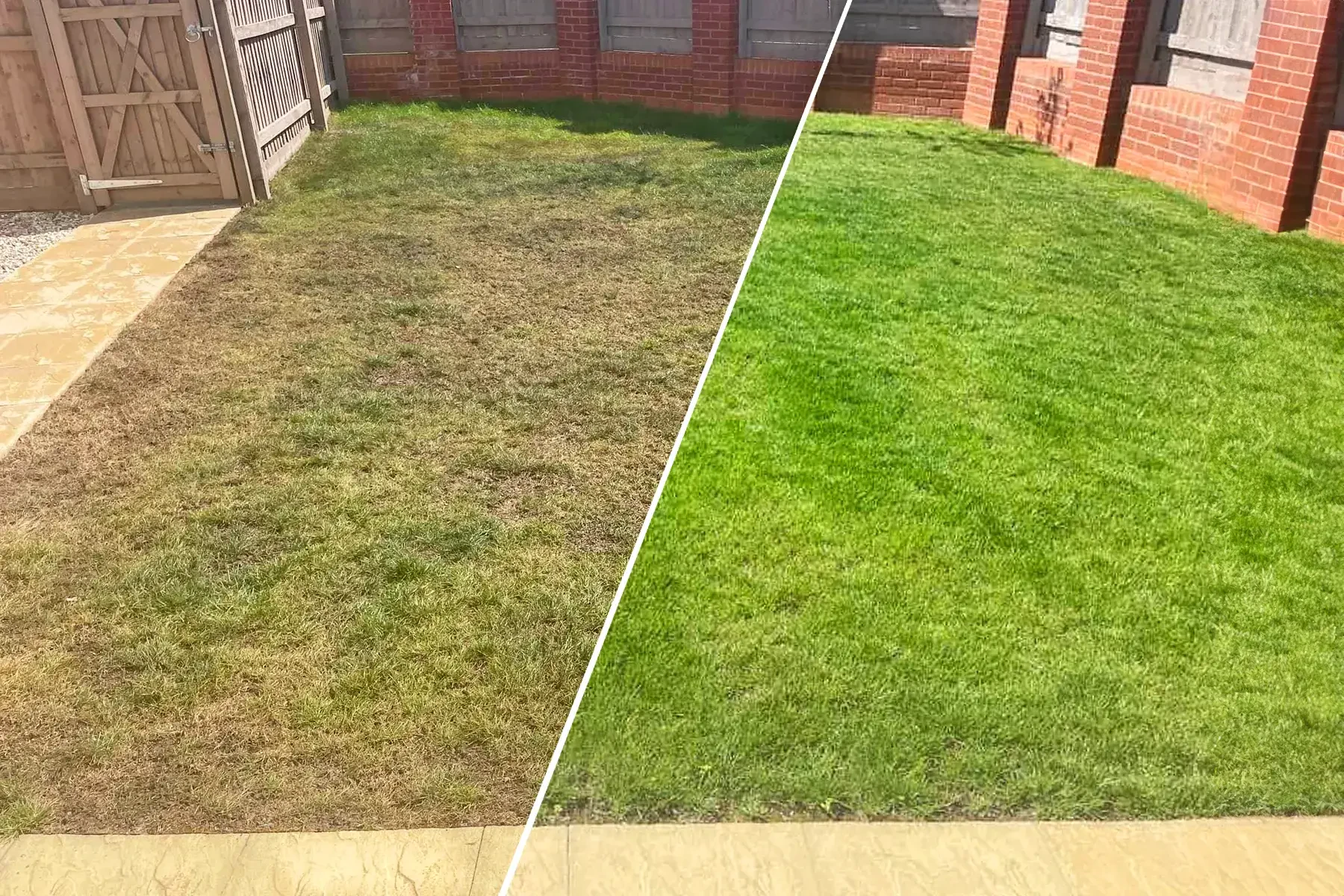 How to Care for Your Lawn After Reseeding
