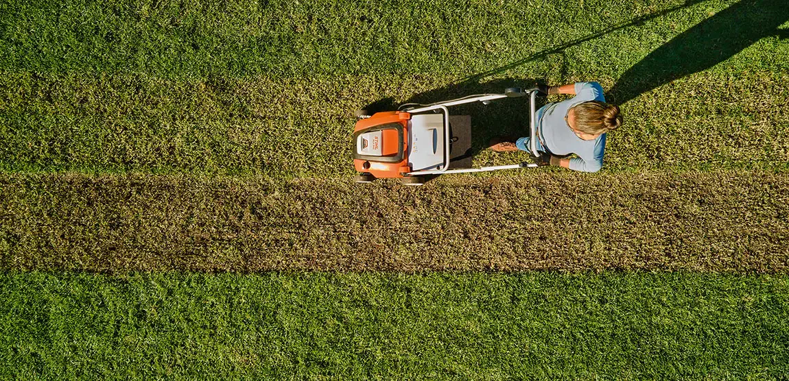 How Dethatching Improves Lawn Health and Appearance