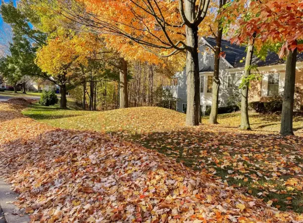 How to Get Your Yard Ready for Fall Cleanup