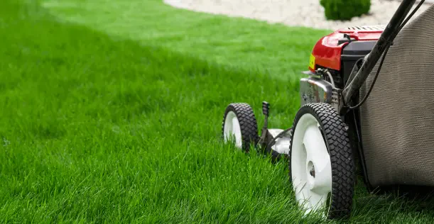 How to Avoid Common Lawn Mowing Mistakes
