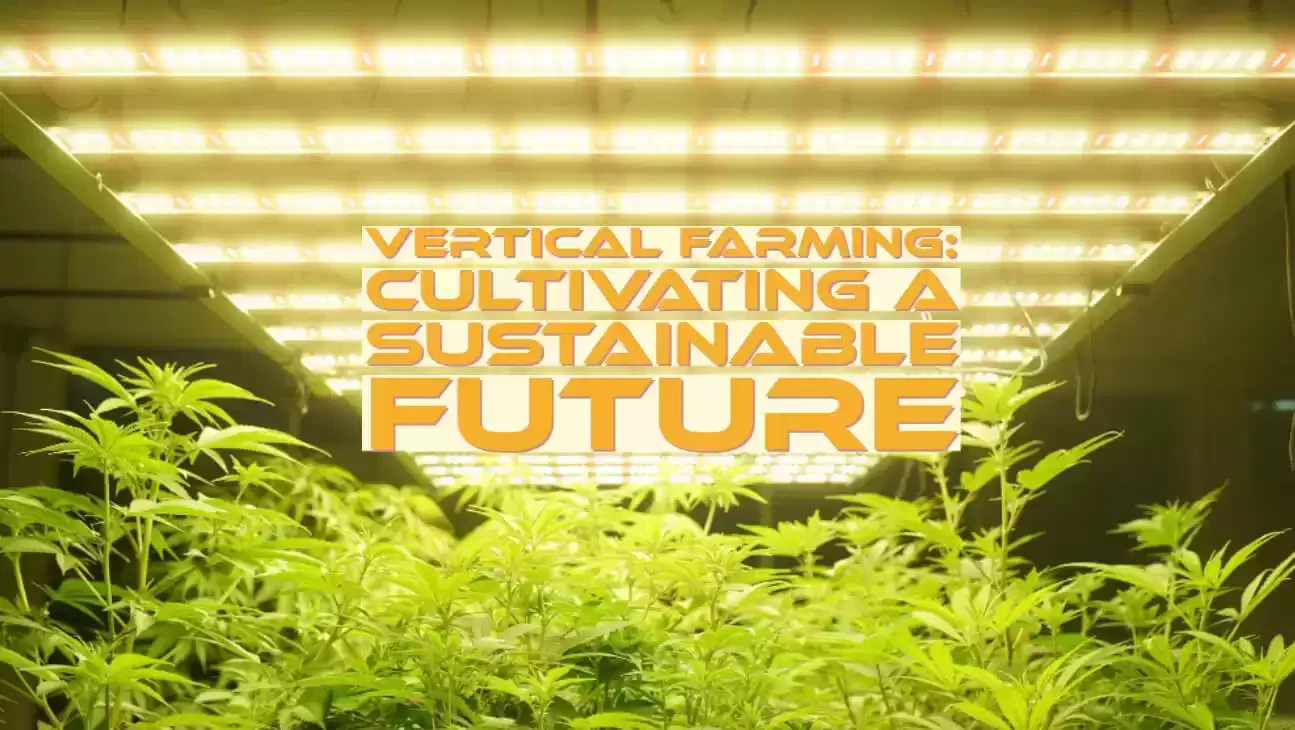 Vertical Farming: Cultivating A Sustainable Future