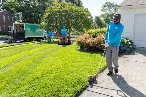 How to Maintain Edges After Professional Lawn Mowing