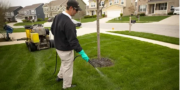 How to Prepare Your Lawn Before Aeration