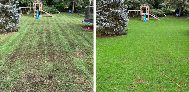 How to Prepare Your Lawn Before Overseeding