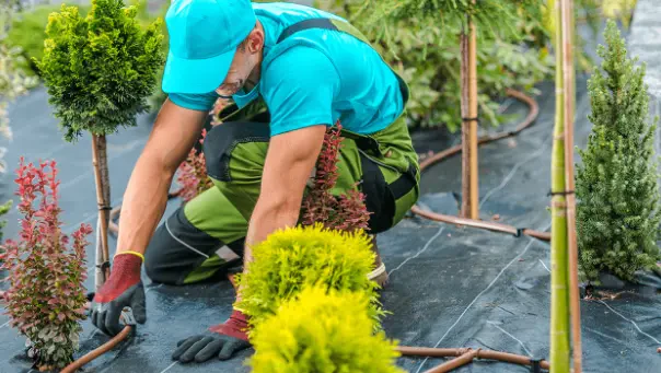 How to Prepare Your Landscape for Spring Growth