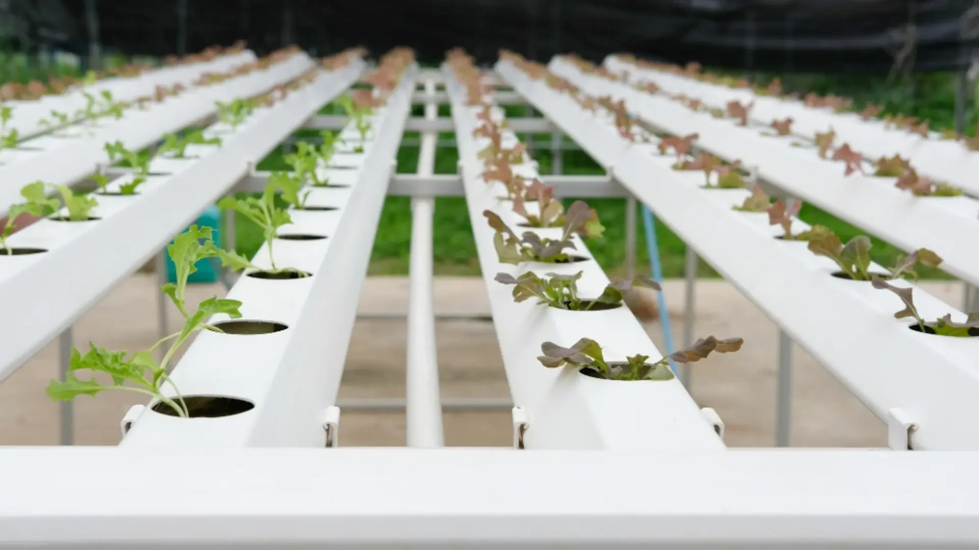 Best Organic and Container Farming Solutions for Healthy, Sustainable Yields