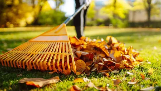 How to Make Seasonal Yard Cleanup Faster and More Efficient