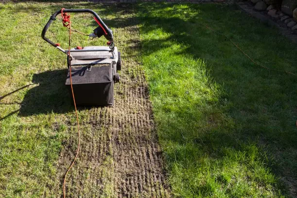 How to Prepare Your Lawn Before Dethatching