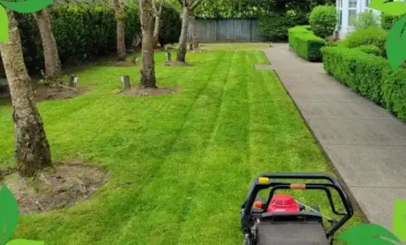How to Plan a Year-Round Yard Cleanup Schedule