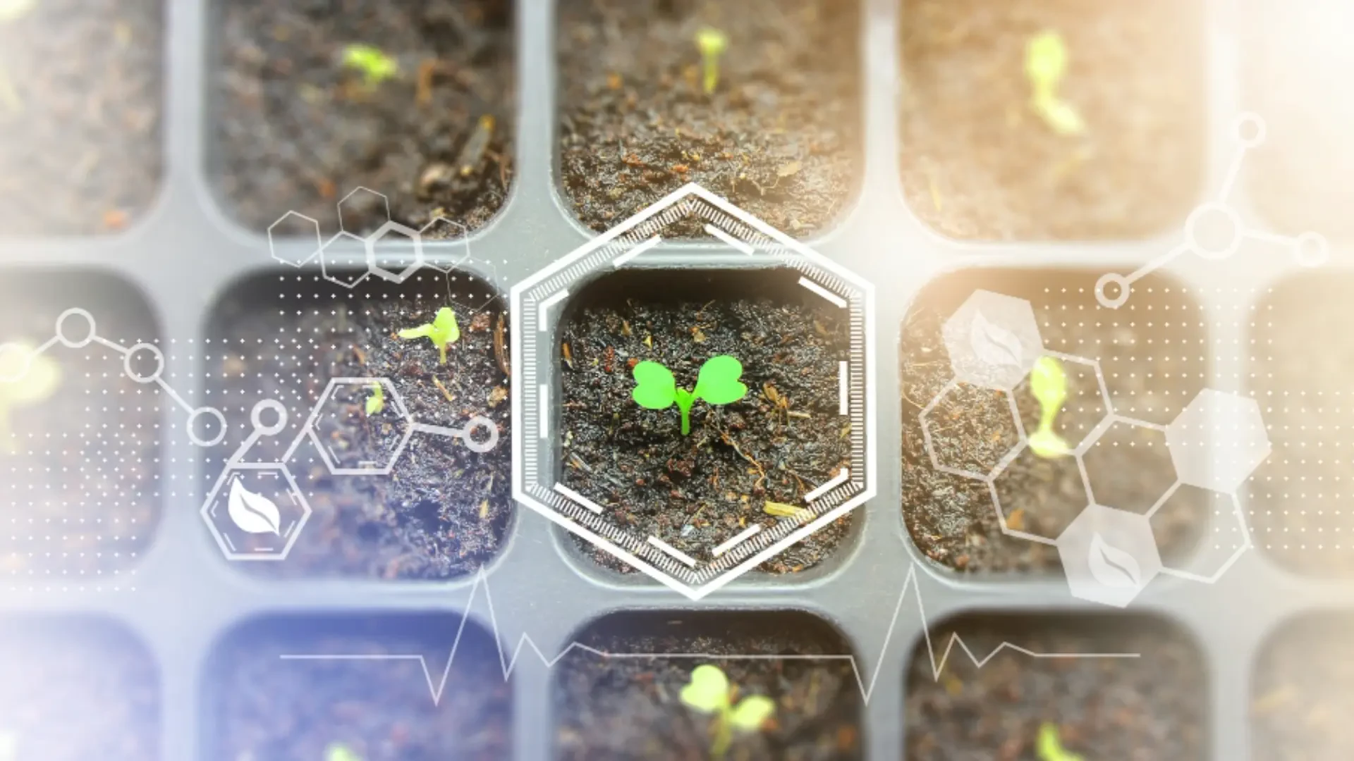 Modern Agronomy: Advanced Nutrition, Microbial Performance, and Soil Wellness