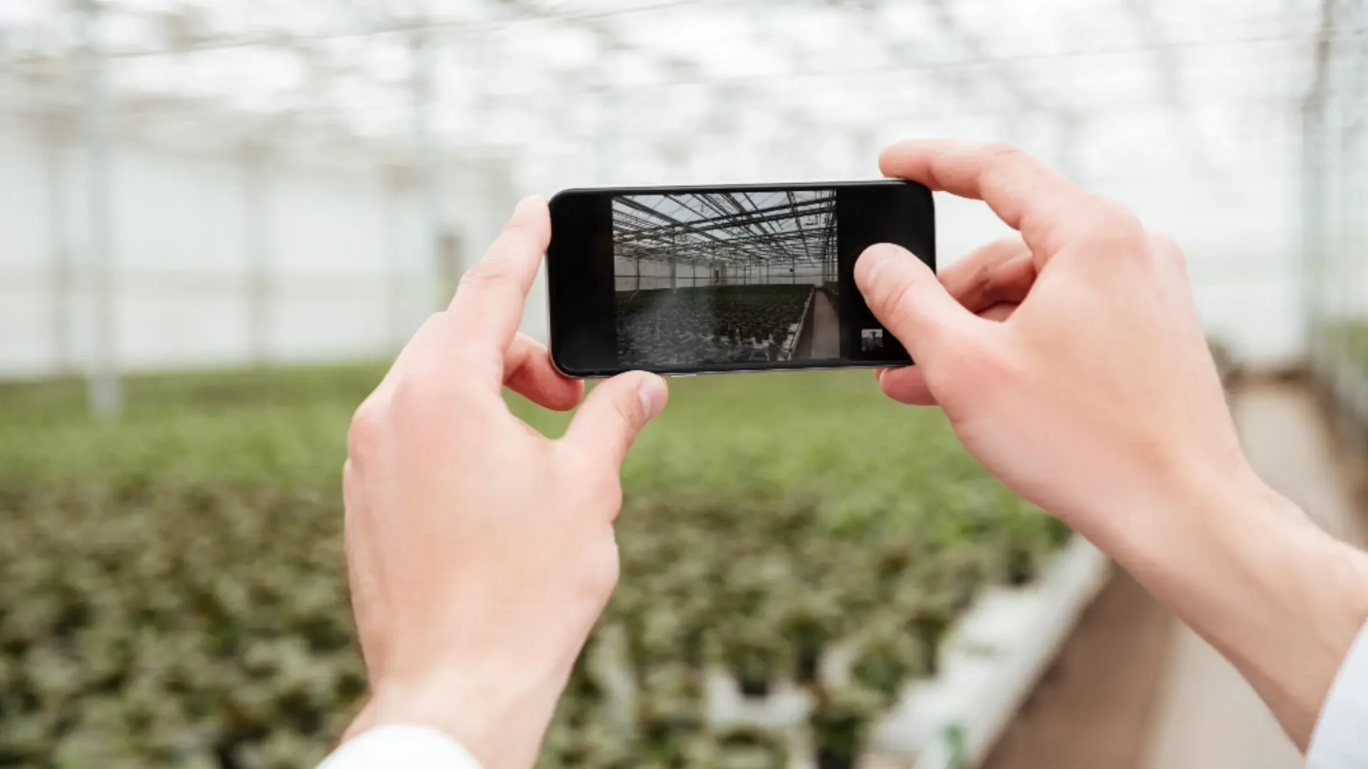 Elevating Growth: The Future Of Next-Generation Farming