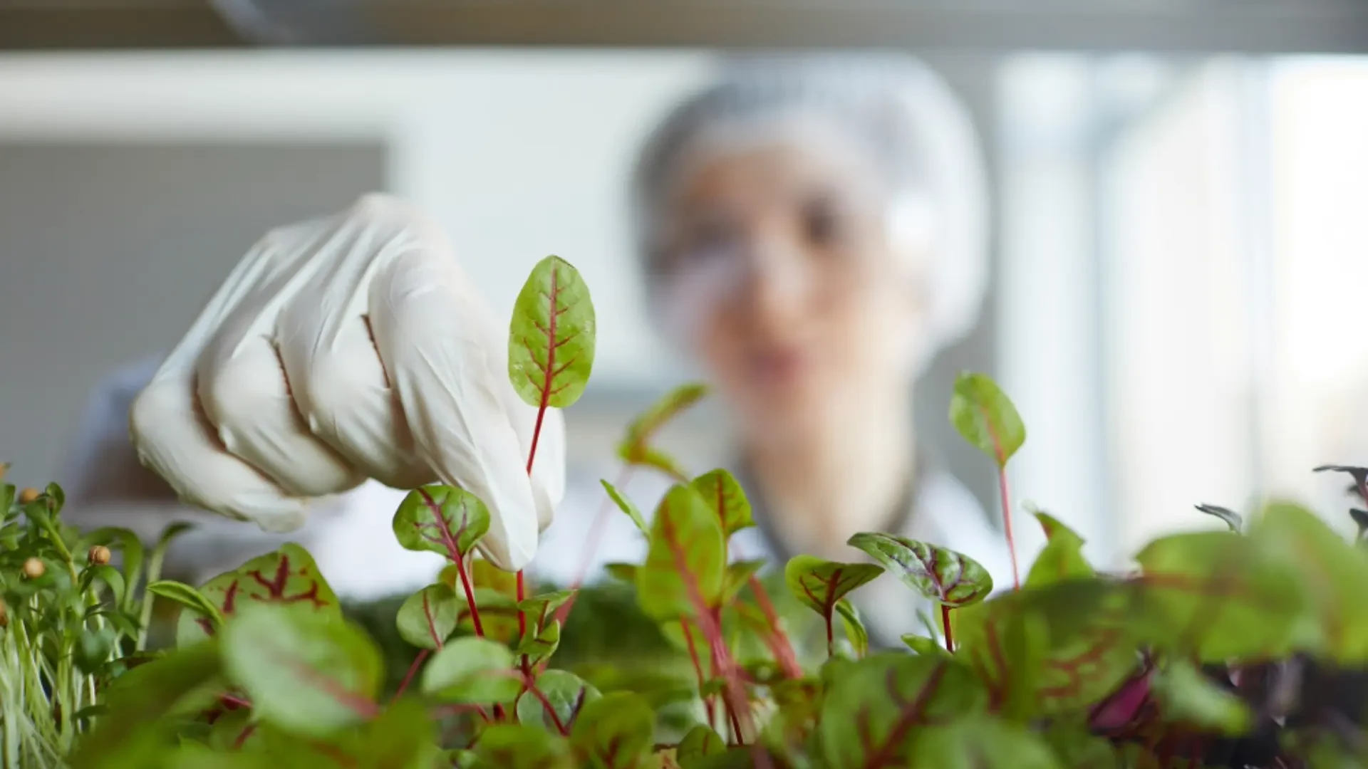 Advancing Plant Nutrition: Cutting-Edge Microbial Solutions and Yield-Enhancing Technologies