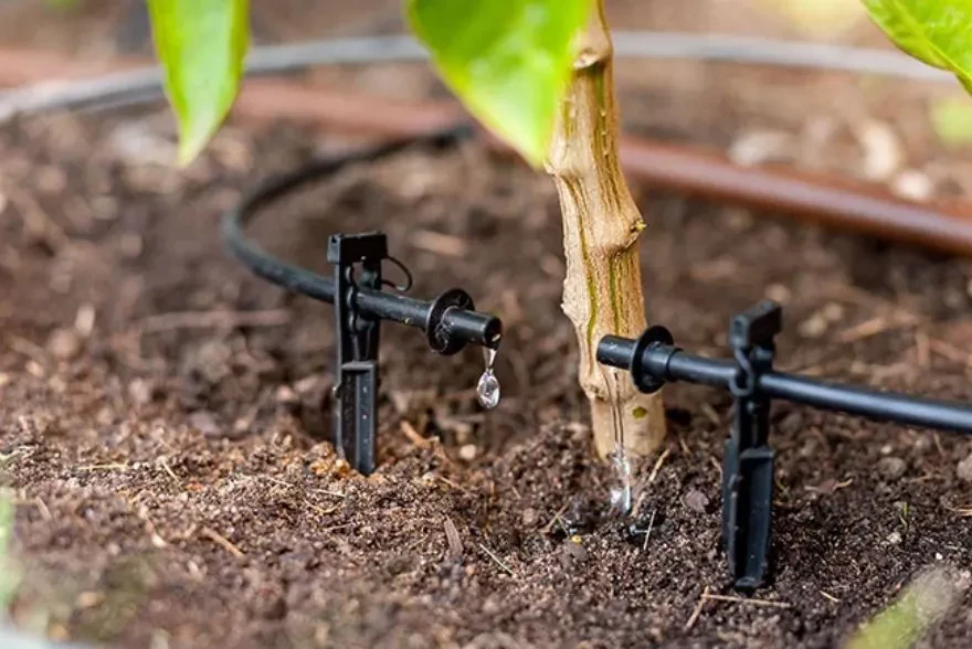 Tips for Maintaining Your Drip Irrigation System