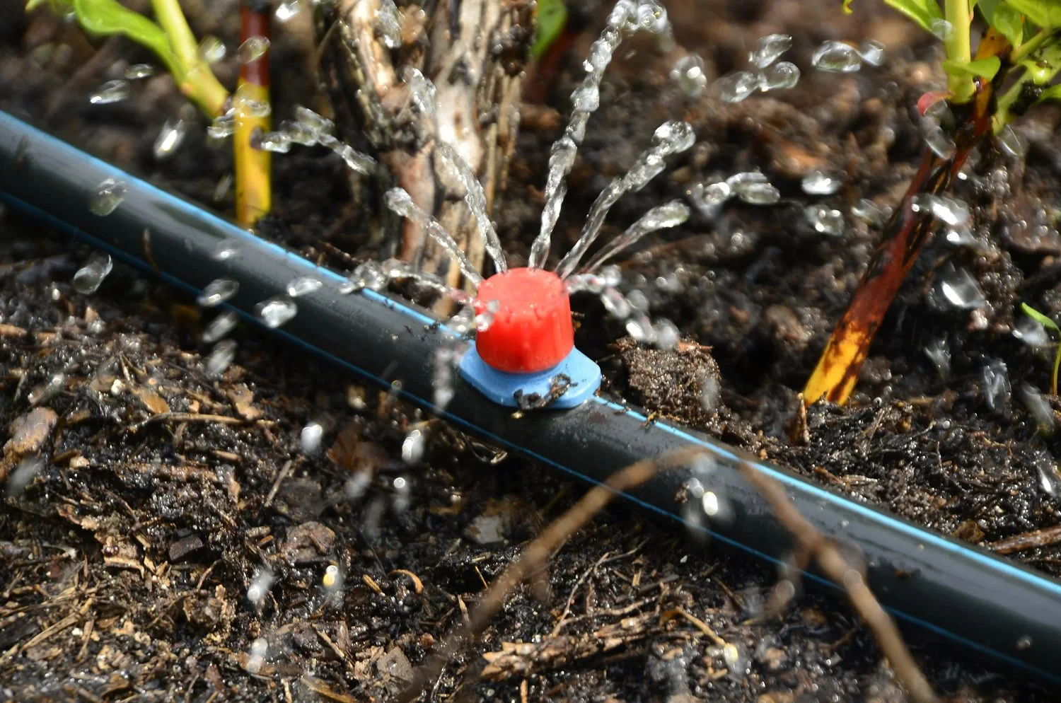 How to Choose the Right Drip Irrigation System for Your Plants