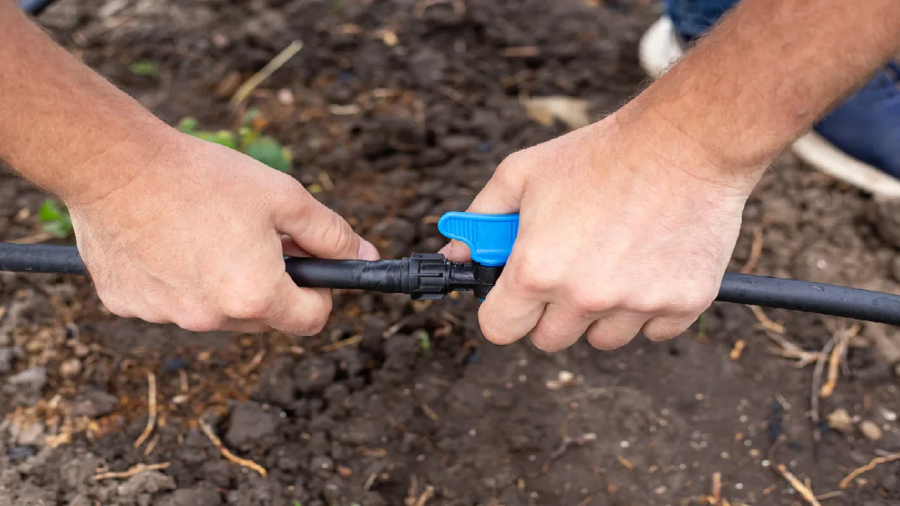 How to Adjust Drip Irrigation for Seasonal Changes