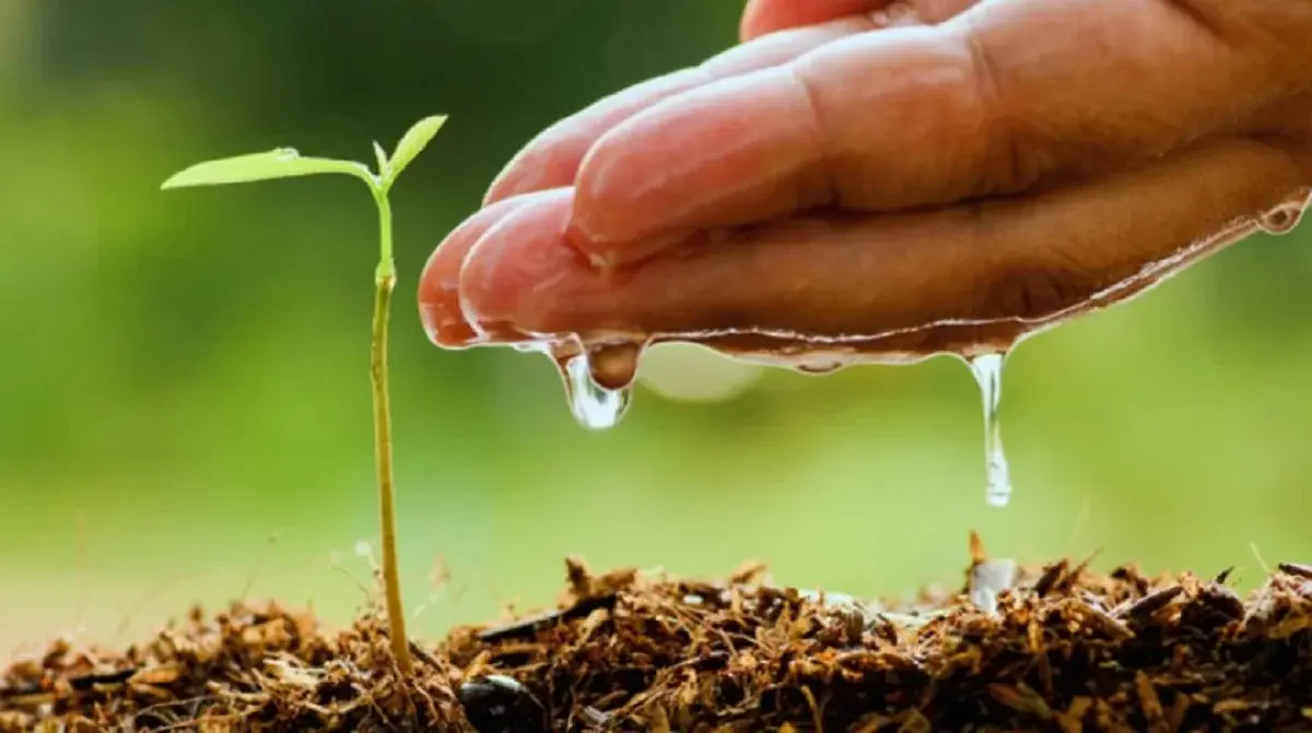 Preventative Maintenance Tips to Avoid Irrigation Repairs