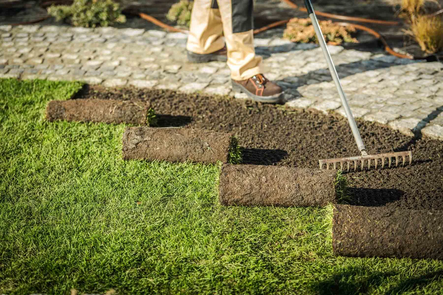 How Much Does Installing a Drought-Tolerant Lawn Cost