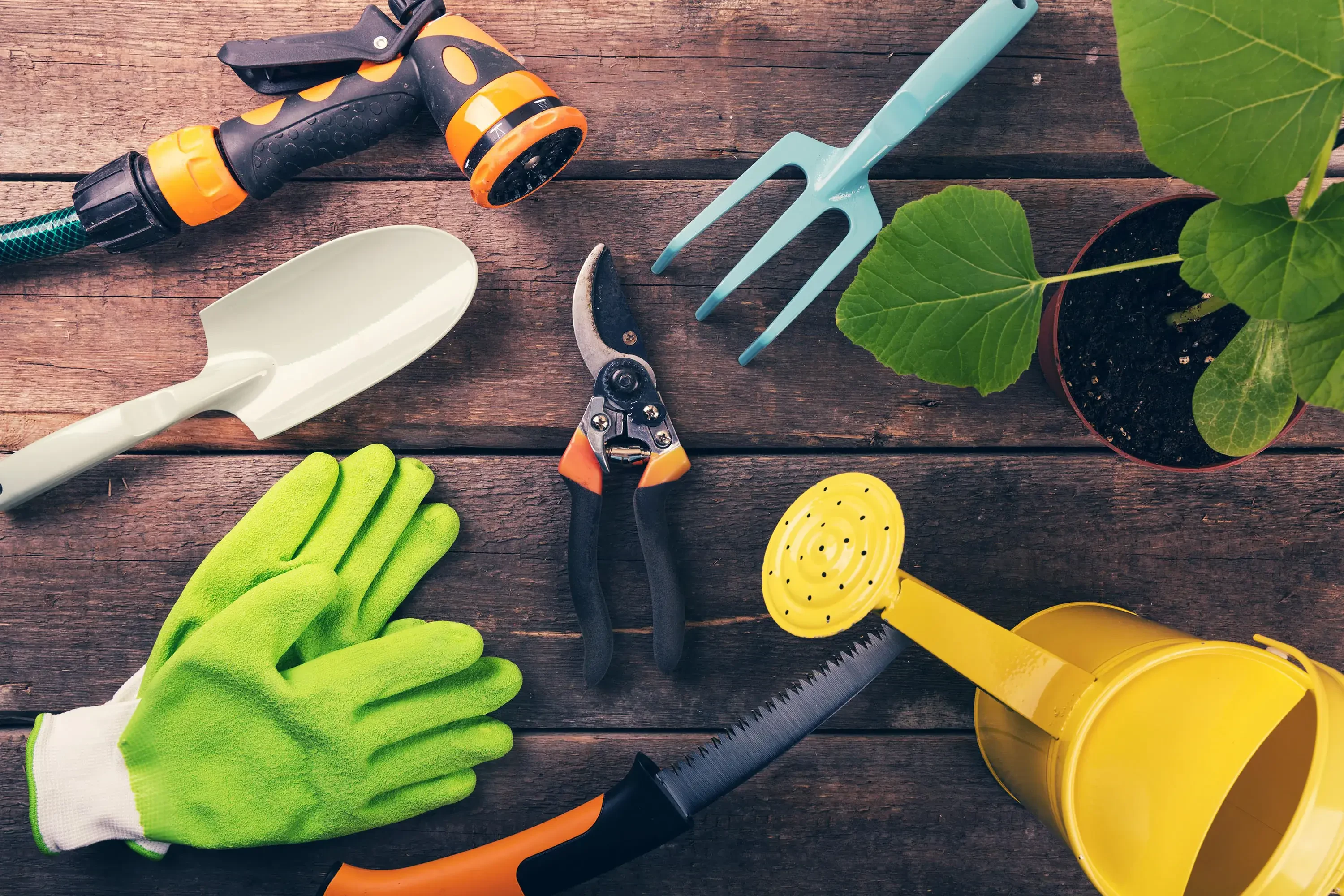 How to Choose the Best Garden Tools Set for Every Gardener