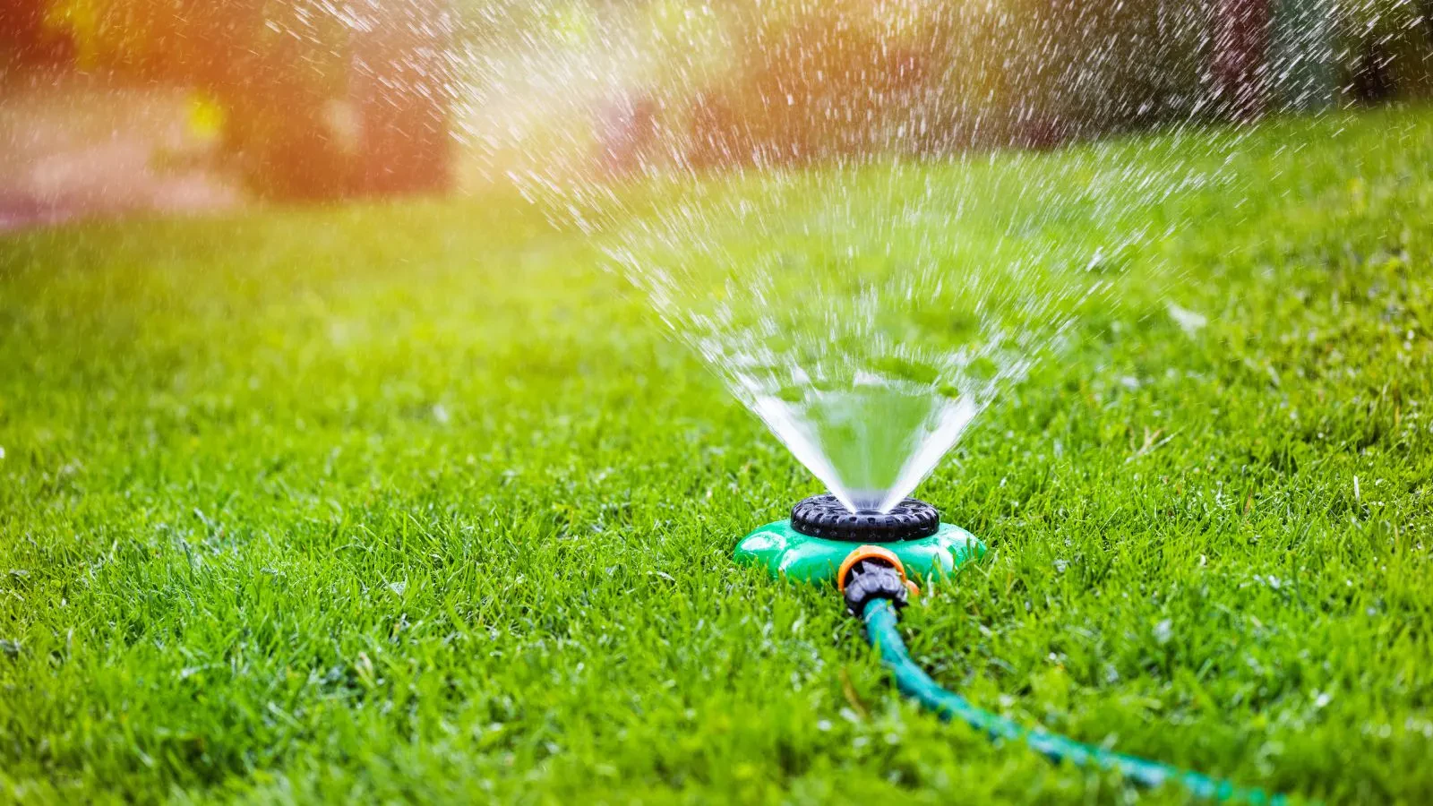 How Automatic Lawn Watering Systems Keep Grass Green Effortlessly
