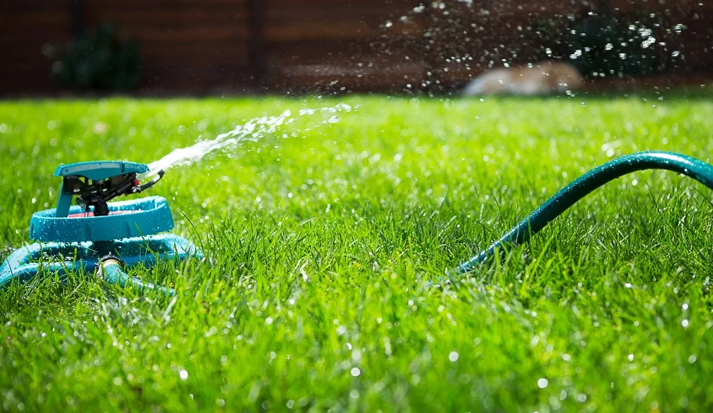 The Best Watering Schedule for Grass in Every Season