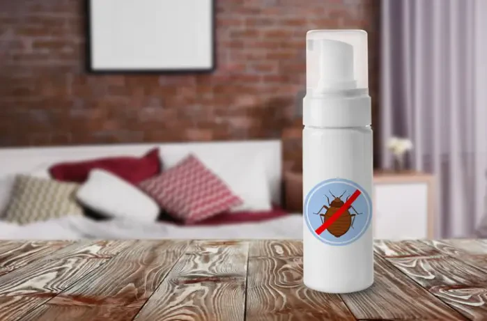 How to Recognize the Early Signs of a Bed Bug Infestation