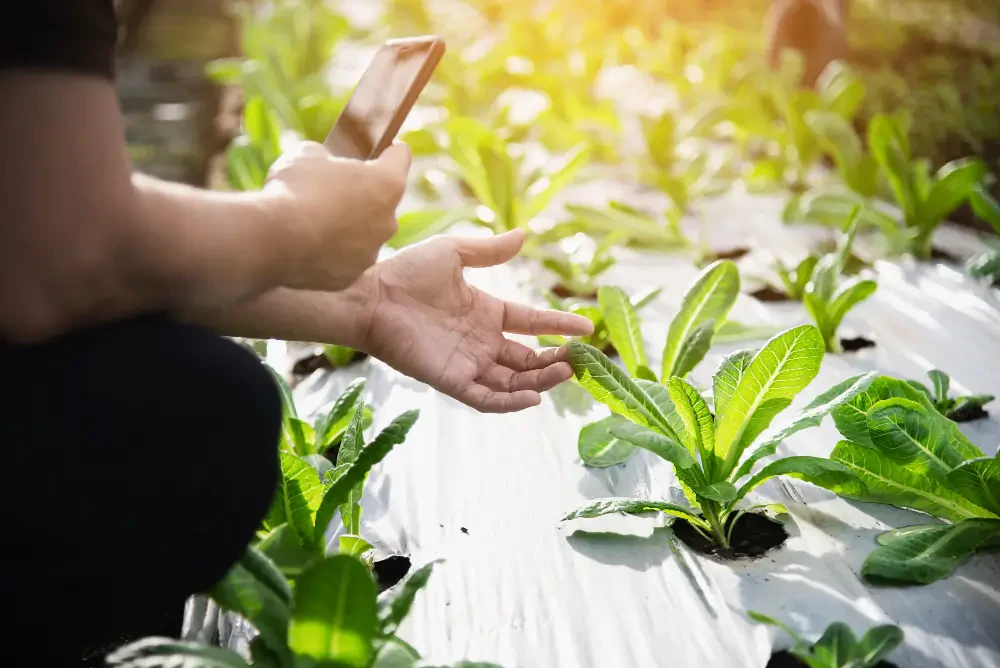 Smart Water and Irrigation Management: Maximizing Crop Yields with Precision Monitoring Systems