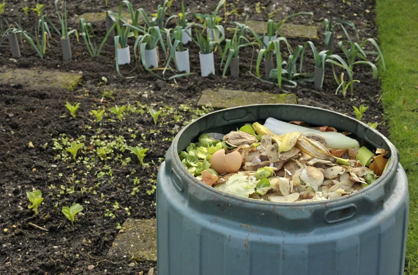 How to Select the Best Compost Bin for Your Home Garden