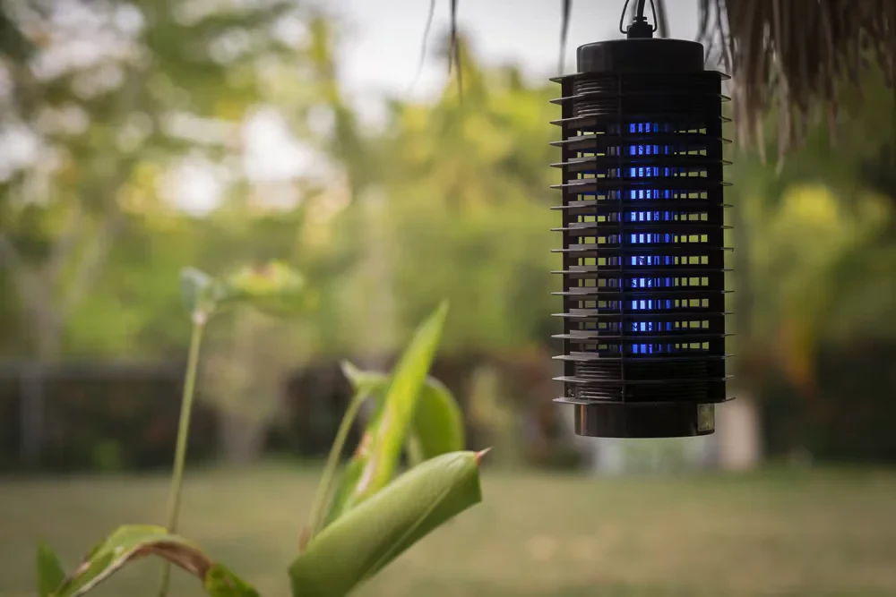 How to Choose the Most Effective Mosquito Traps for Your Yard