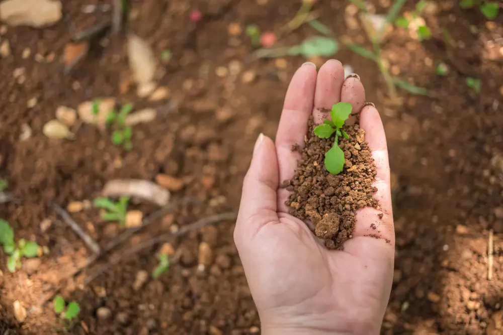 Advancing Crop Health Naturally: Biocontrol, Organic Soil Enhancers and Plant Protection