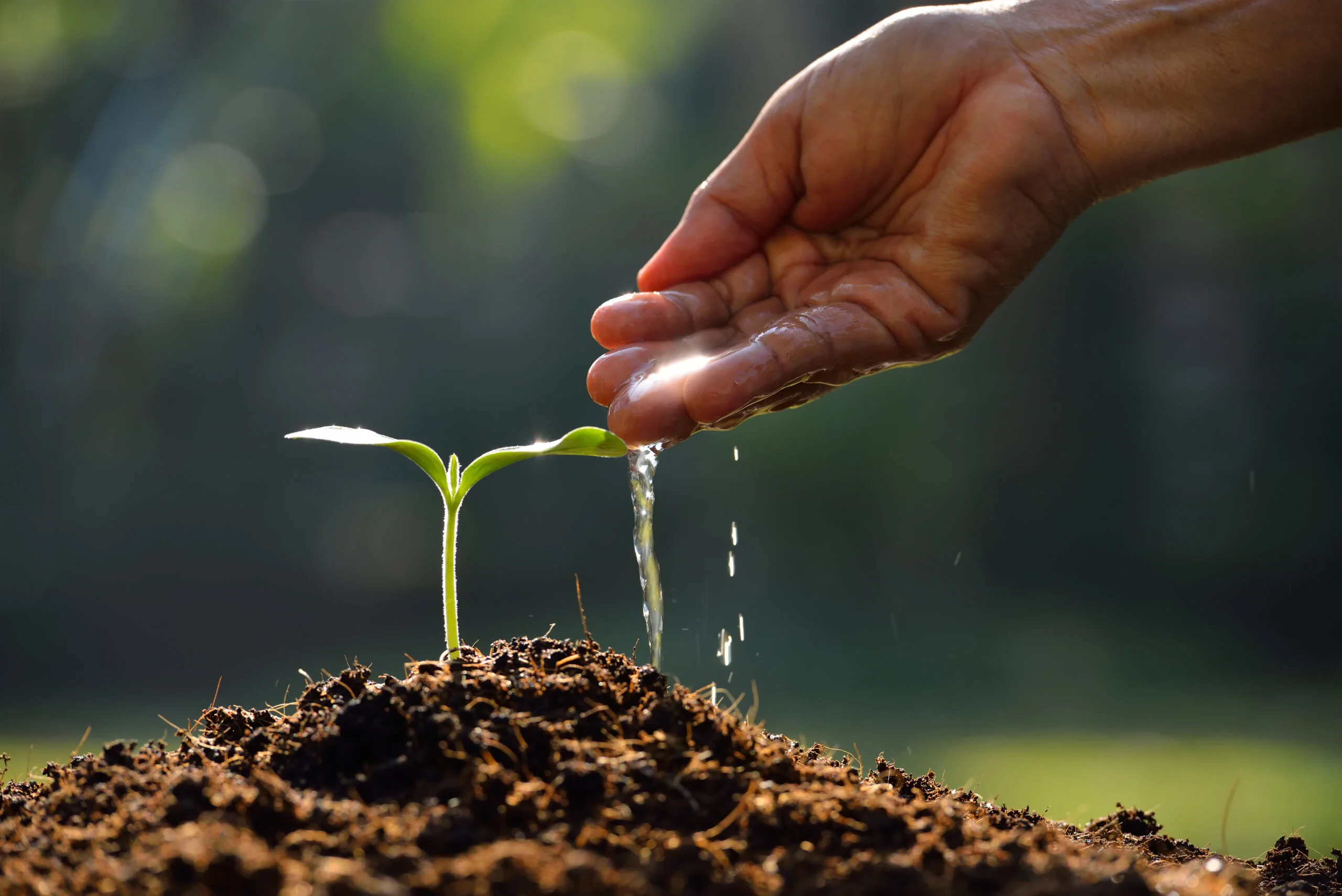 Optimizing Water Treatment for Agriculture: Advanced Solutions for Tree Support  Irrigation