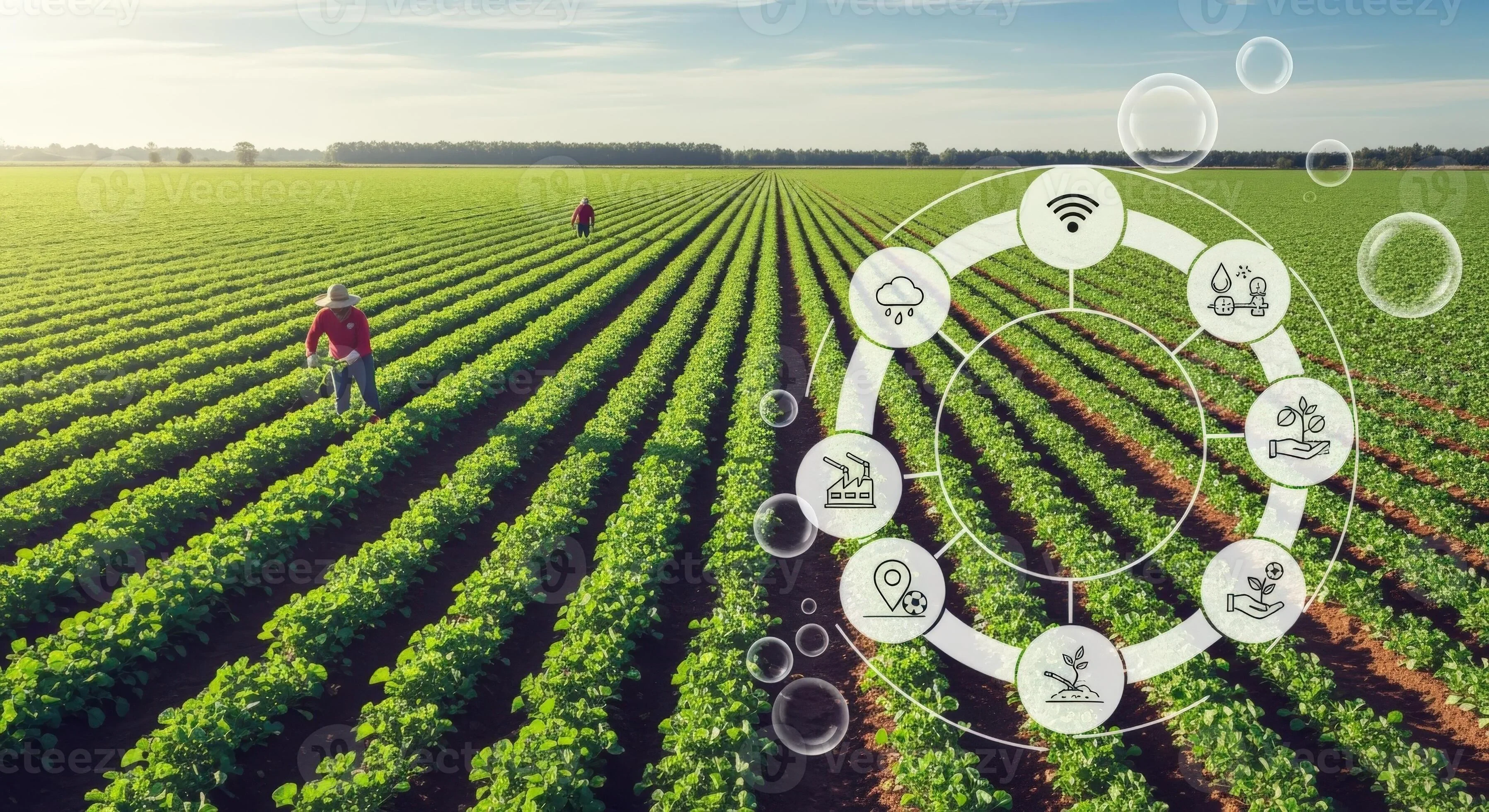 Smart Farm Management and Precision Irrigation: Advancing Efficiency Through Modern Monitoring and Fluid Handling