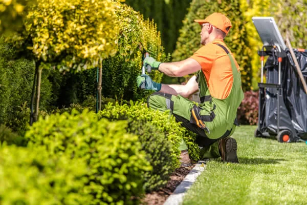 How Much Do Landscapers Charge Per Hour? Average Rates Explained
