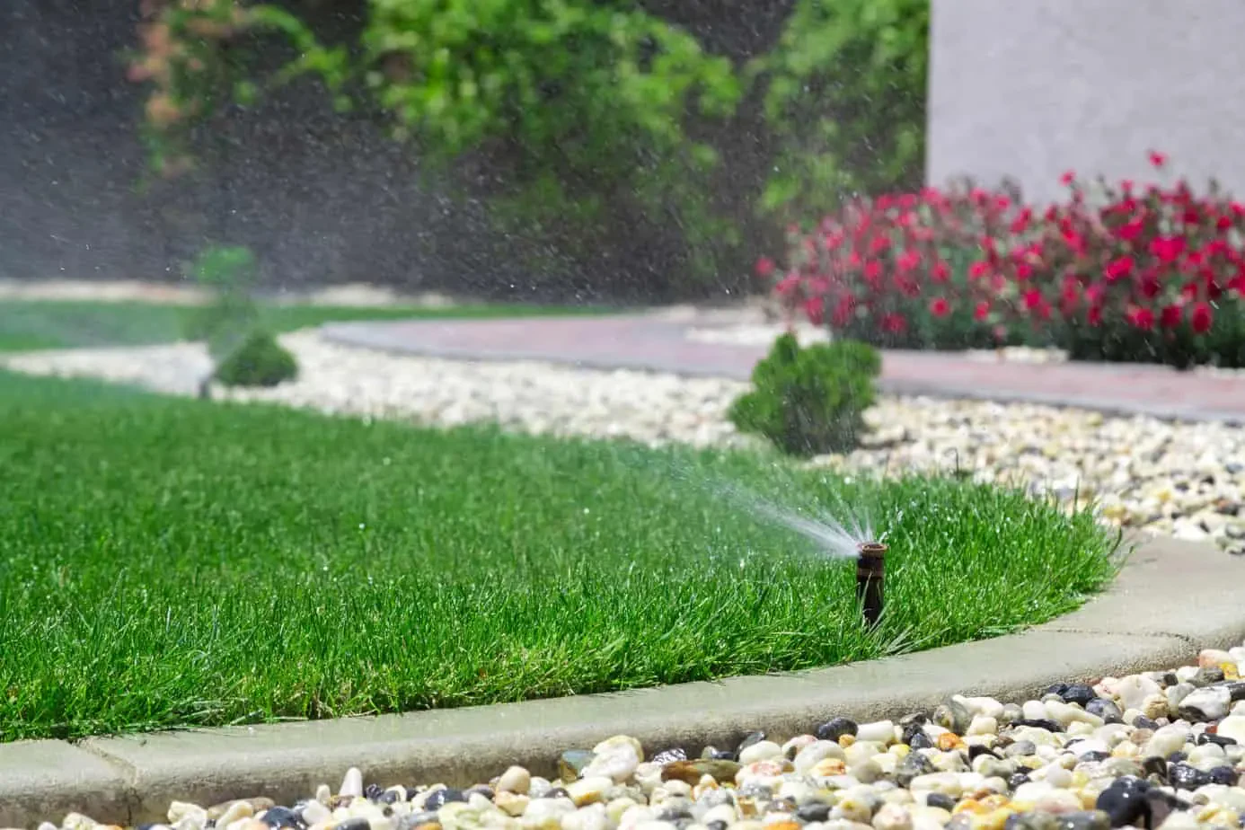 Simple Backyard Irrigation Ideas for a Greener, Healthier Yard