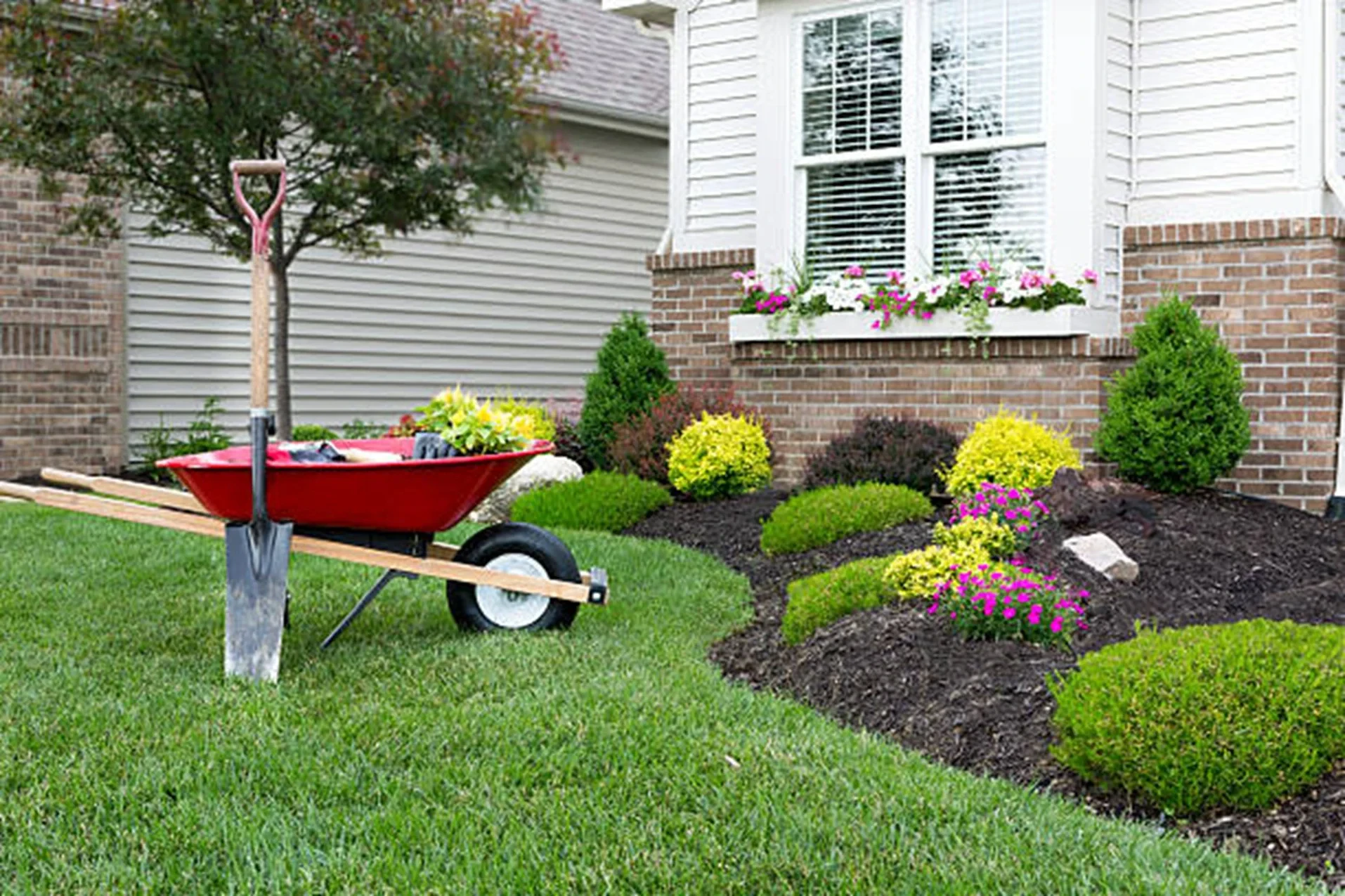 Inexpensive Landscaping Ideas: Budget-Friendly Ways to Upgrade Your Yard