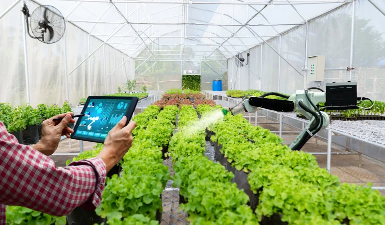 Optimizing Greenhouse Performance: Advanced Climate, Humidity and Environment Control for Indoor Farms