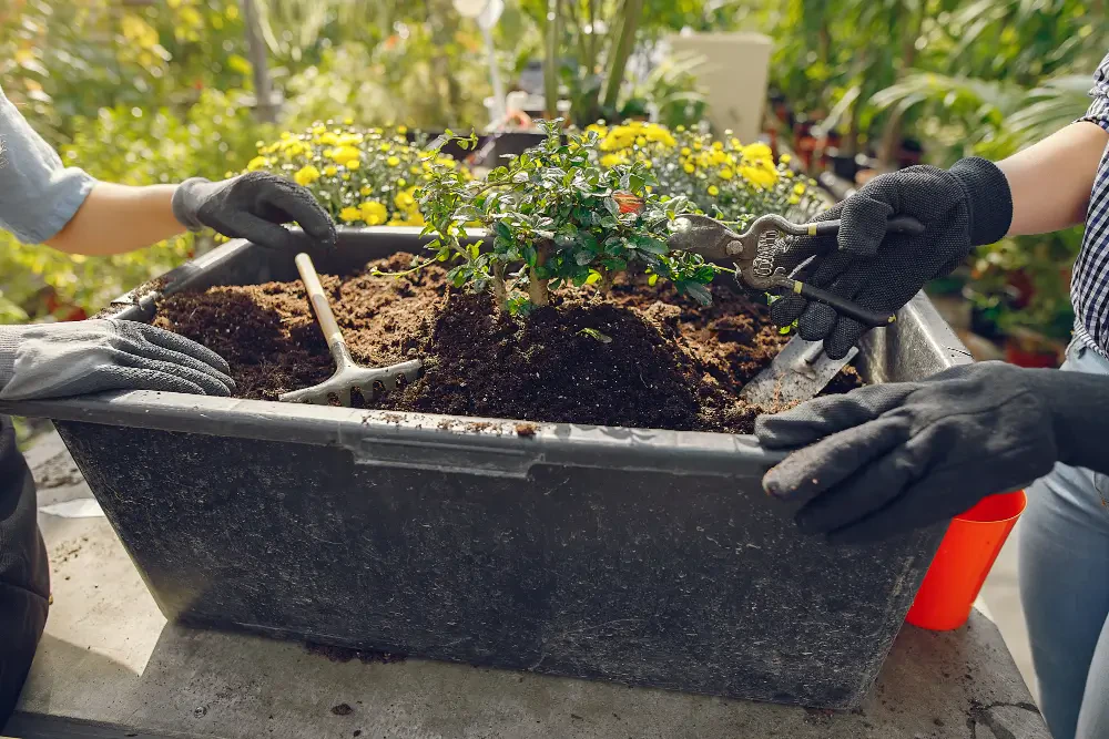 Nurturing Soil Naturally: A Guide to Organic and Mineral Fertility Solutions