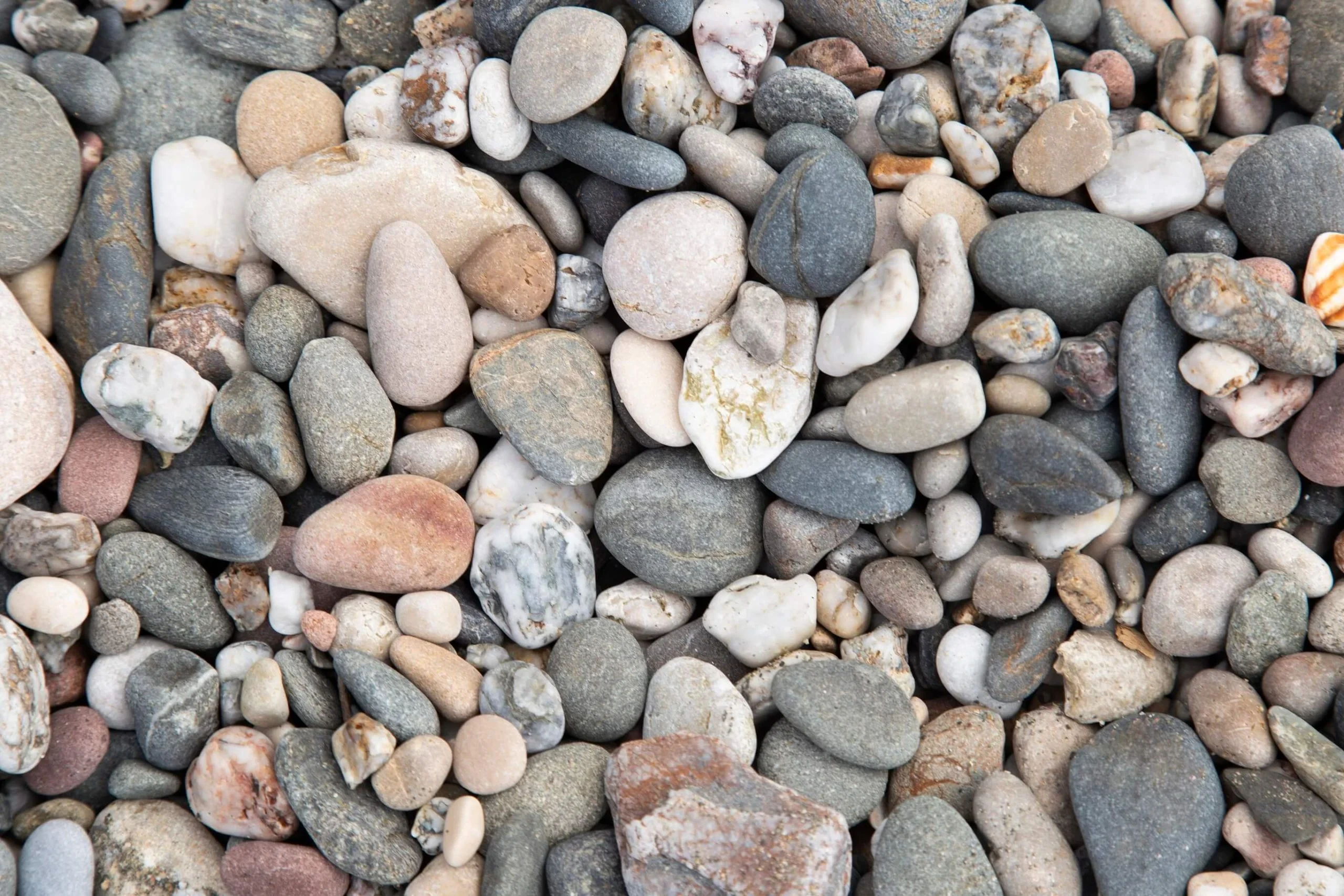 Where to Find Free Stones for Landscaping Projects