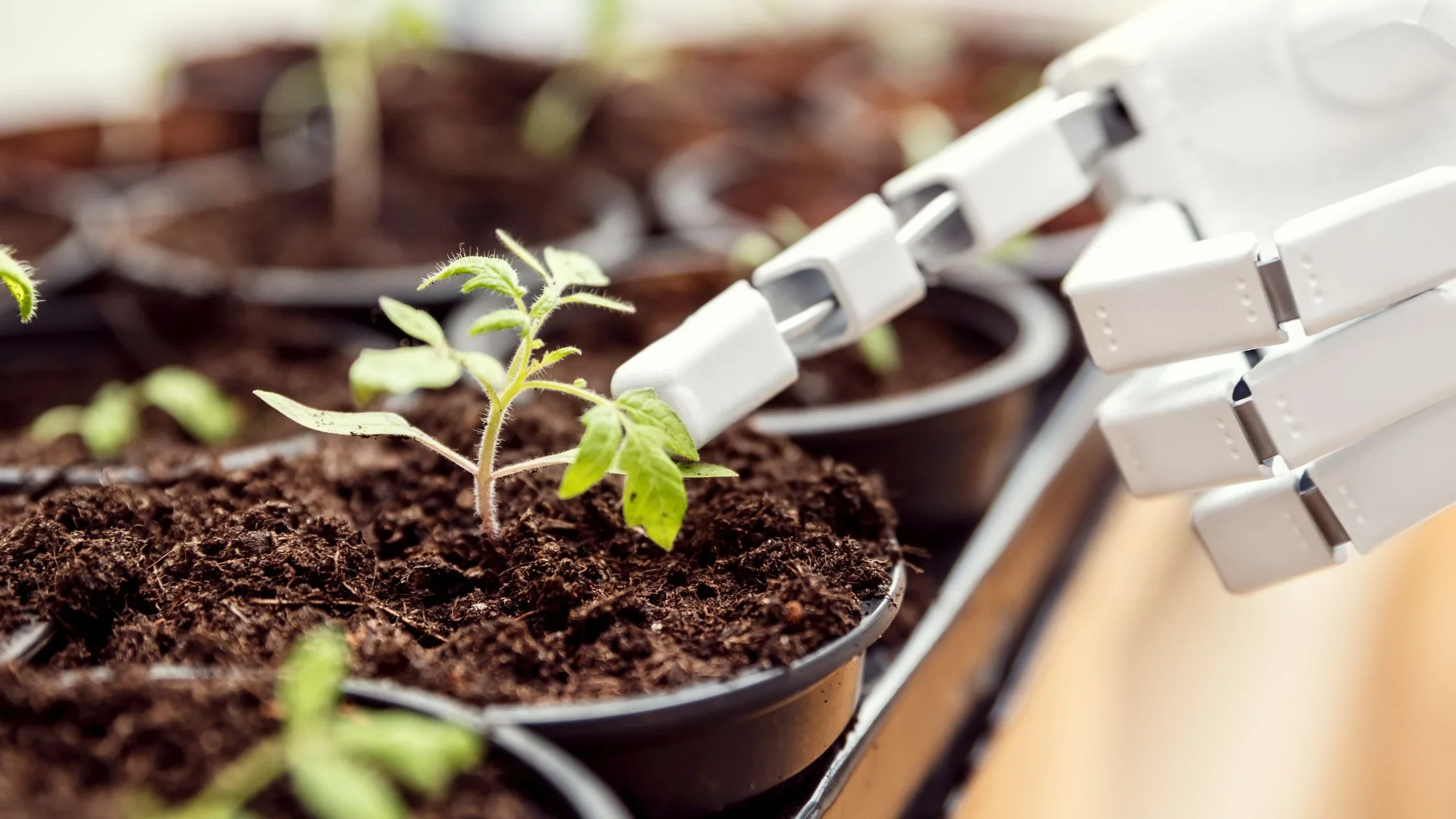 Advanced Infrastructure Solutions for High-Performance Indoor Growing