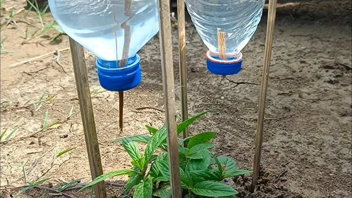 DIY Drip Irrigation System: How to Build an Efficient Garden Watering Setup