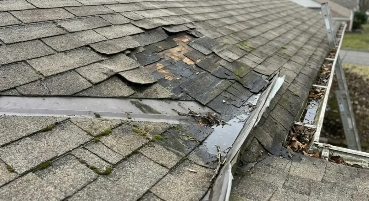 Common Roofing Problems Homeowners Shouldn’t Ignore