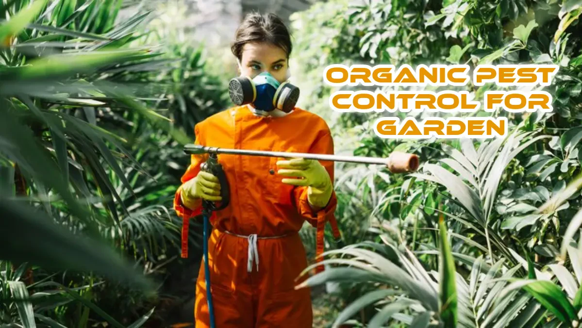 Organic Pest Control For Garden