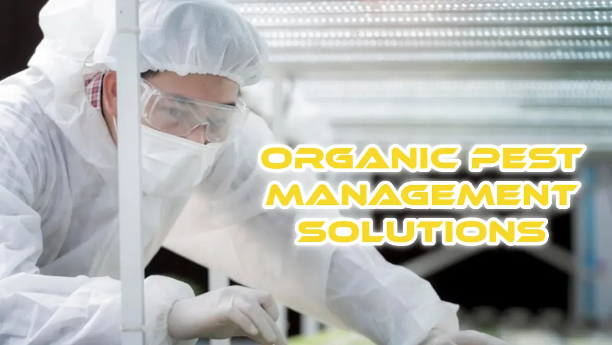 Organic Pest Management Solutions for Growing Plants
