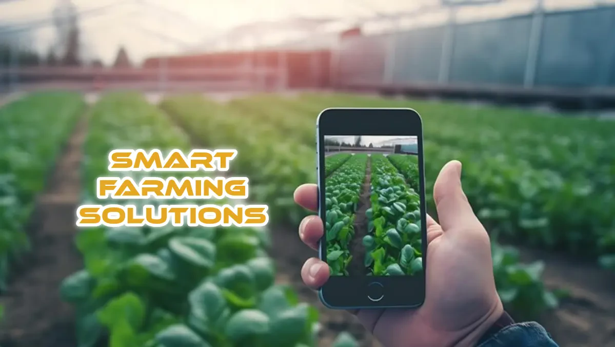Smart Farming Solutions: The Future Of Agriculture