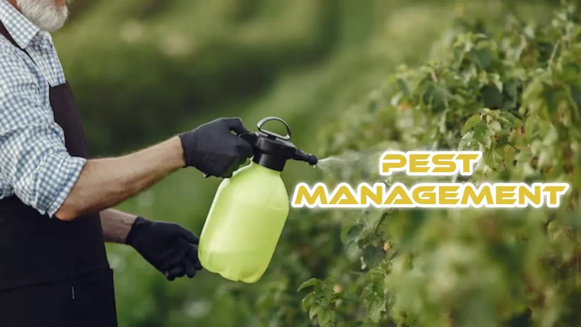 6 Cultivation Tips for Eco-Friendly Pest Management